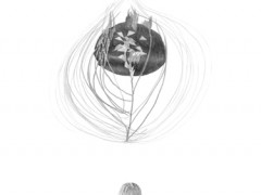 The hemisphere of the shadow,2010