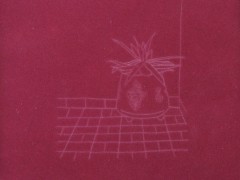 Aloe, 2007.