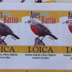 Aves de tu barrio