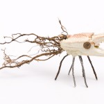 Insectario - Bestiario