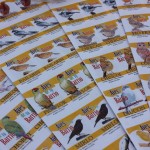 Aves de tu barrio