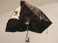 Broken Umbrella