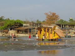 Guatemex, 2006