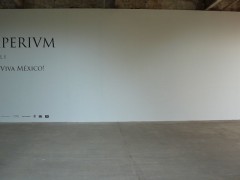Exposiciones 2009