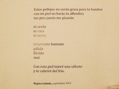 Exposición: "Home Is Where the Heart Is (El hogar se lleva en el corazón)" de María Raquel Cochez