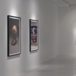 Exposiciones 2008