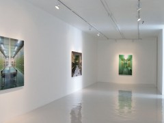 Exposiciones 2007