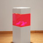 Escuela para cadáveres, 2008, Laboratorio 390, Museo de las Artes, Guadalajara, México.