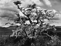Libro fotográfico: Patagonia