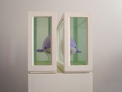 Two Sharks (or About  the study of  leading roles, 2008.