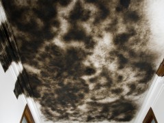 “Cloud”, Soot on ceiling.