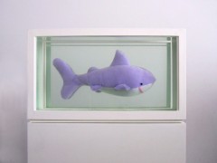 Two Sharks (or About  the study of  leading roles)
