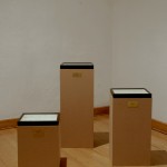 Escuela para cadáveres, 2008, Laboratorio 390, Museo de las Artes, Guadalajara, México.
