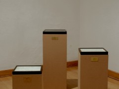 Escuela para cadáveres, 2008, Laboratorio 390, Museo de las Artes, Guadalajara, México.