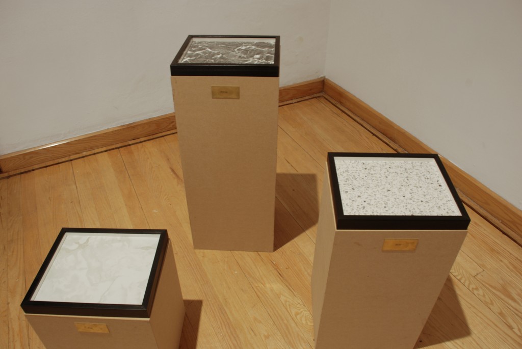 Escuela para cadáveres, 2008, Laboratorio 390, Museo de las Artes, Guadalajara, México.