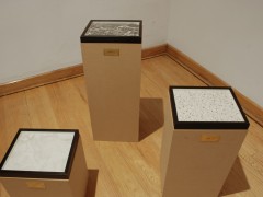 Escuela para cadáveres, 2008, Laboratorio 390, Museo de las Artes, Guadalajara, México.