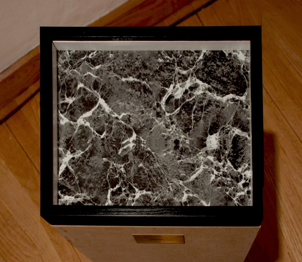 Escuela para cadáveres, 2008, Laboratorio 390, Museo de las Artes, Guadalajara, México.