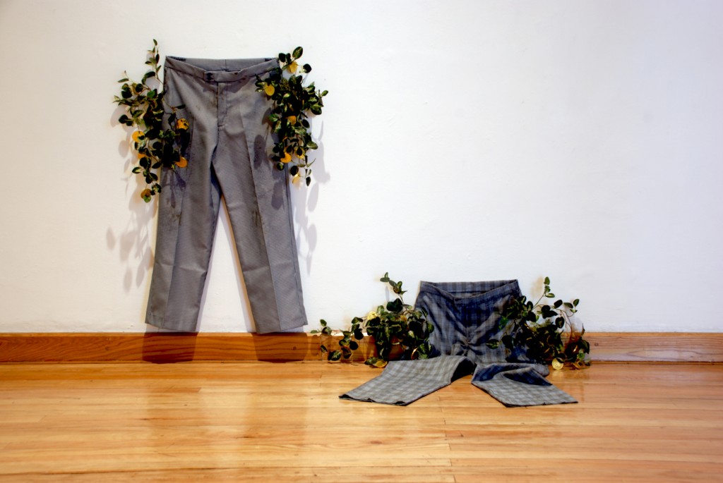 Escuela para cadáveres, 2008, Laboratorio 390, Museo de las Artes, Guadalajara, México.
