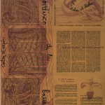 El Techo de la Ballena