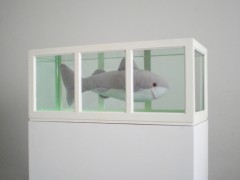 Shark (or About  the study of  leading roles), 2006.