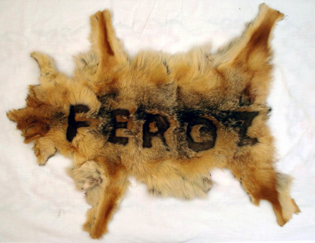 "Feroz"