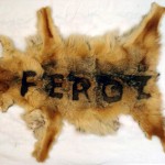 "Feroz"