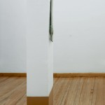 Escuela para cadáveres, 2008, Laboratorio 390, Museo de las Artes, Guadalajara, México.
