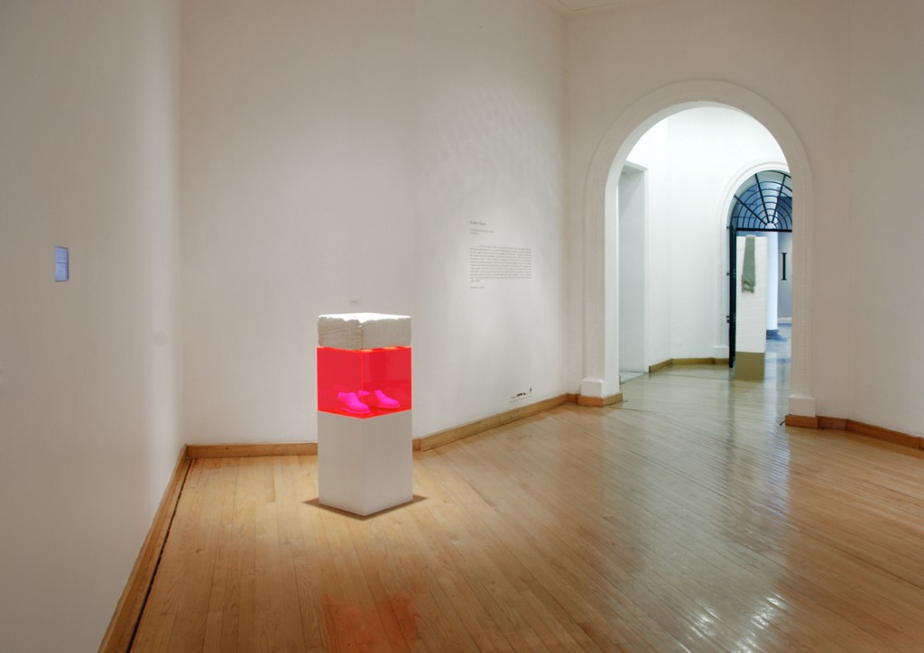 Escuela para cadáveres, 2008, Laboratorio 390, Museo de las Artes, Guadalajara, México.