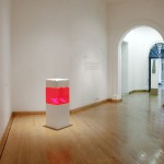 Escuela para cadáveres, 2008, Laboratorio 390, Museo de las Artes, Guadalajara, México.
