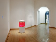 Escuela para cadáveres, 2008, Laboratorio 390, Museo de las Artes, Guadalajara, México.