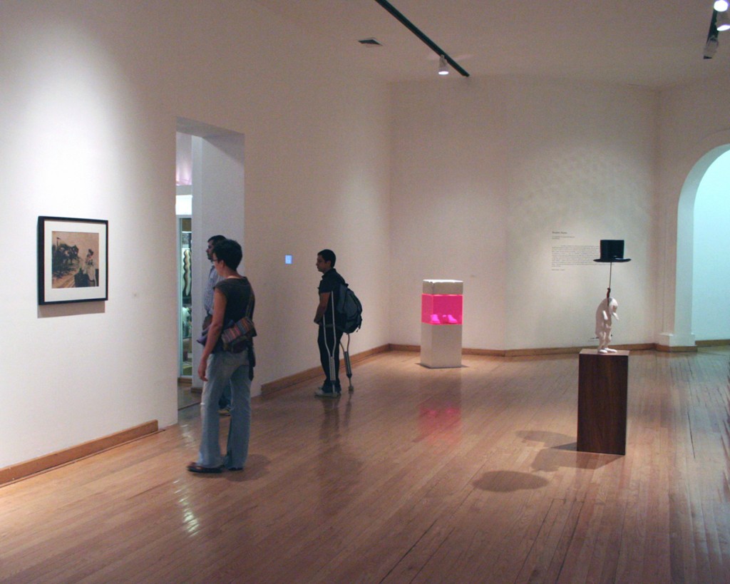 Escuela para cadáveres, 2008, Laboratorio 390, Museo de las Artes, Guadalajara, México.