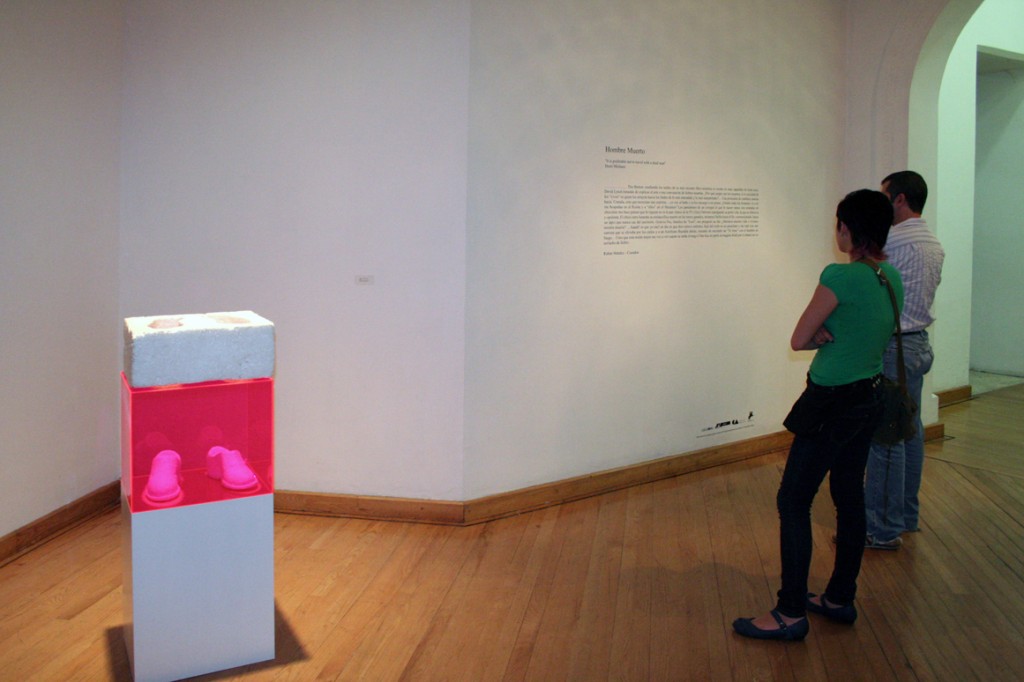 Escuela para cadáveres, 2008, Laboratorio 390, Museo de las Artes, Guadalajara, México.