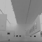 Exhibitions 2008