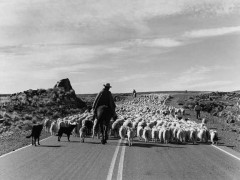 Libro fotográfico: Patagonia