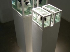 Vaca y Ternero (o Acerca del Estudio de los Protagonistas…), 2007.