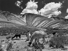 Libro fotográfico: Norte Argentino