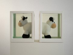 Two Cows (or About  the study of  leading roles), 2007.