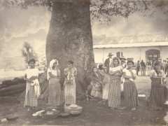 Exposición "Agostino Someliani y la Guatemala del Siglo XIX"