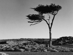 Libro fotográfico: Patagonia