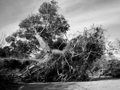 Libro fotográfico: Río de Plata