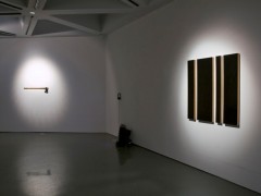 Exposición Non Compos Mentis, Sala Jesús Gallardo, León, Guanajuato, México, 2011.