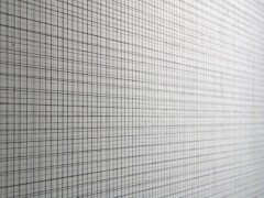 Exposición Non Compos Mentis, Sala Jesús Gallardo, León, Guanajuato, México, 2011.