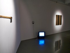 Exposición Non Compos Mentis, Sala Jesús Gallardo, León, Guanajuato, México, 2011.