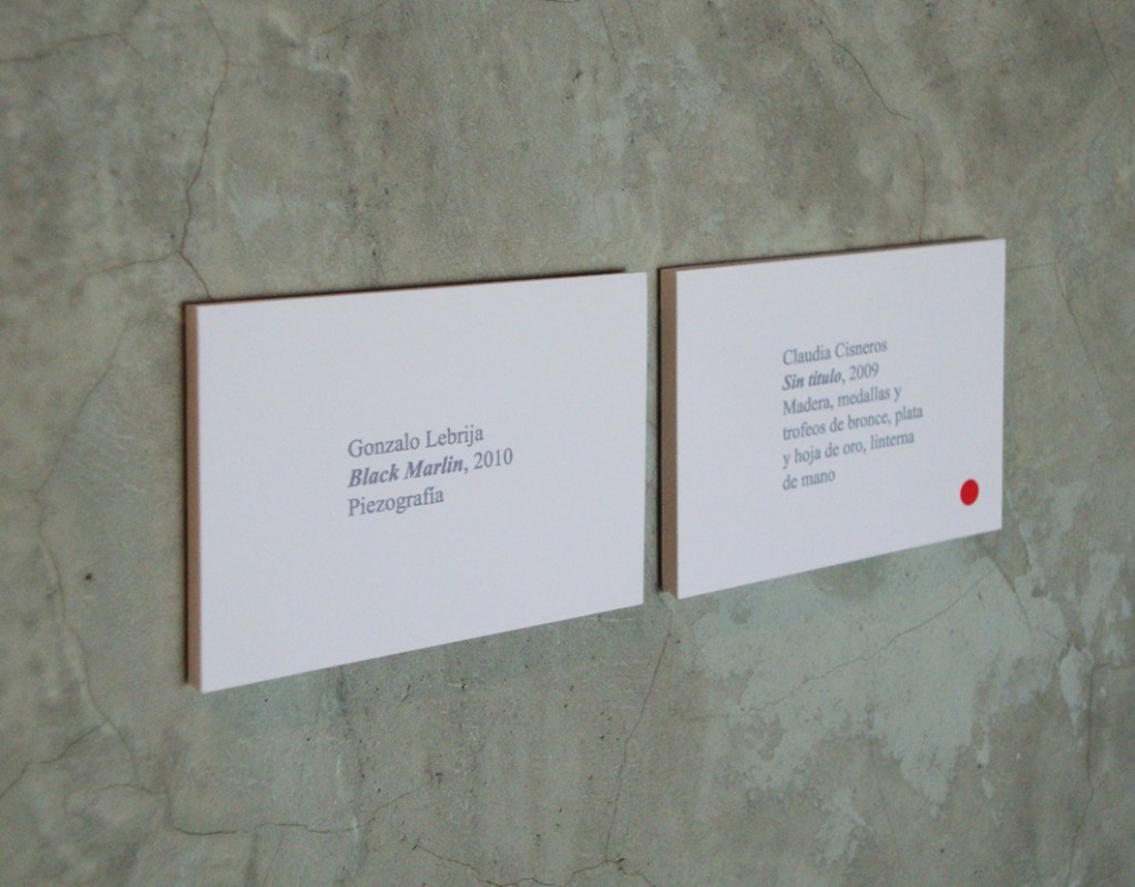 Obra 2010-2011