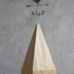 Obra 2010-2011