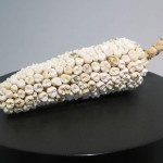 Exposición Buscando lo que no se ha perdido