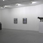 Exposición Buscando lo que no se ha perdido