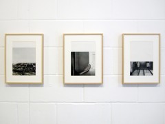 THE EXHIBITION (Series of 14)