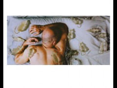 El flautista dormido