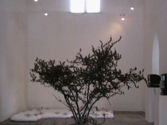 Exposición Nasser el sombaty, 2005